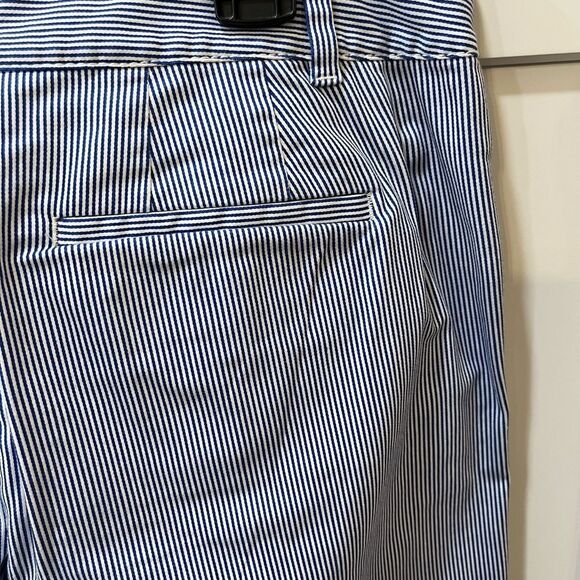 Talbots Blue Striped Pants - Picture 7 of 8
